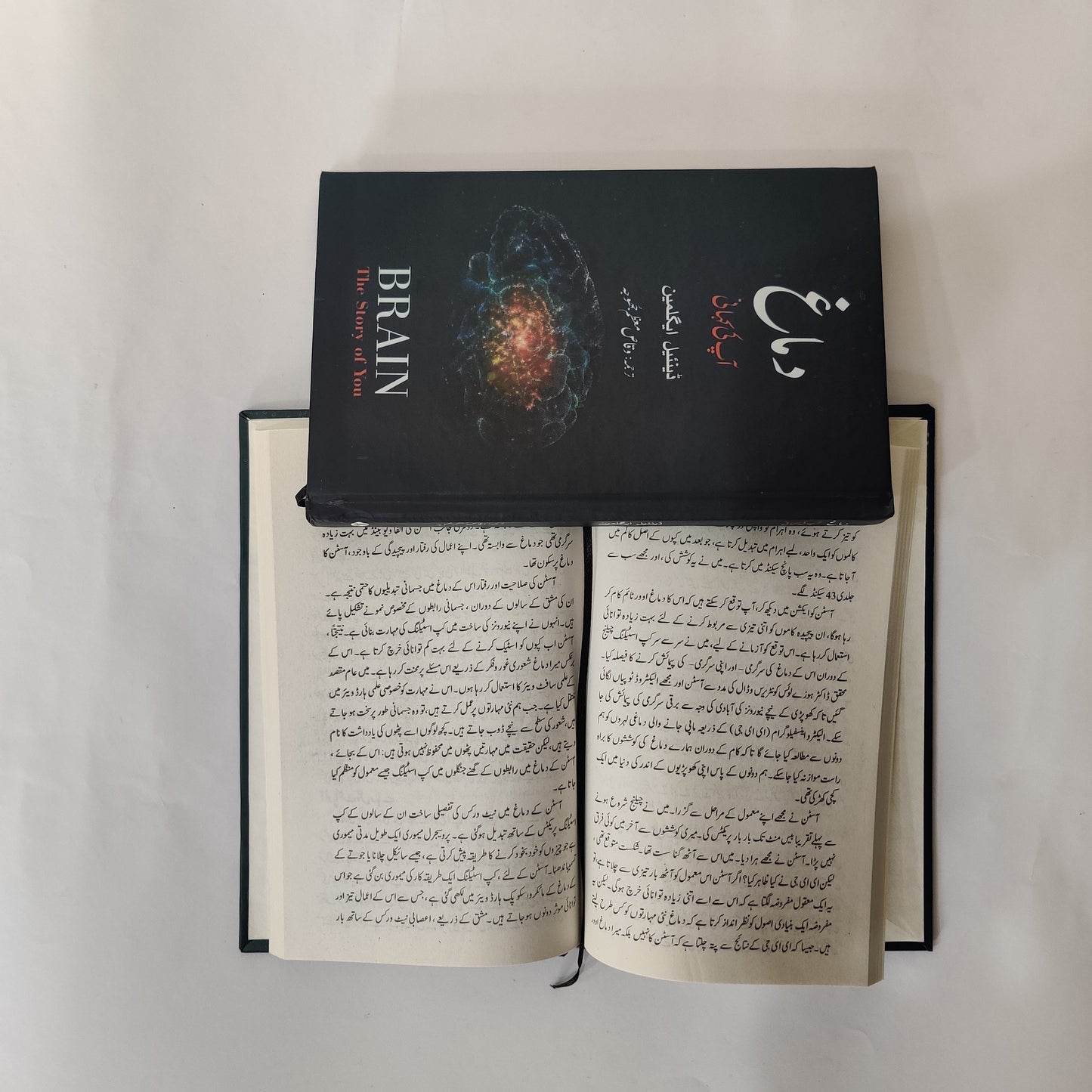Brain The Story Of You Book by David Eagleman Urdu Edition available at HO store