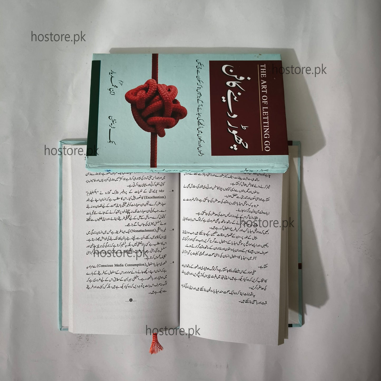 Open book with a red knot design on the cover, displayed against a light gray background.