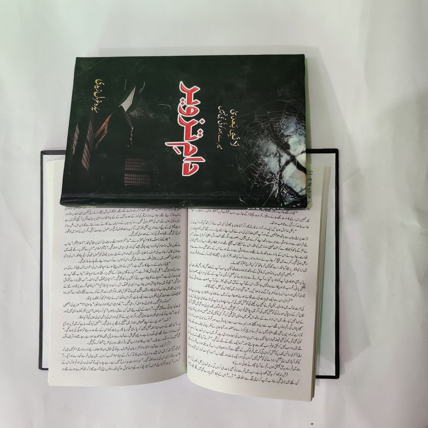 Dam e Tazveer Novel By Ghazal Zaidi available at HO store