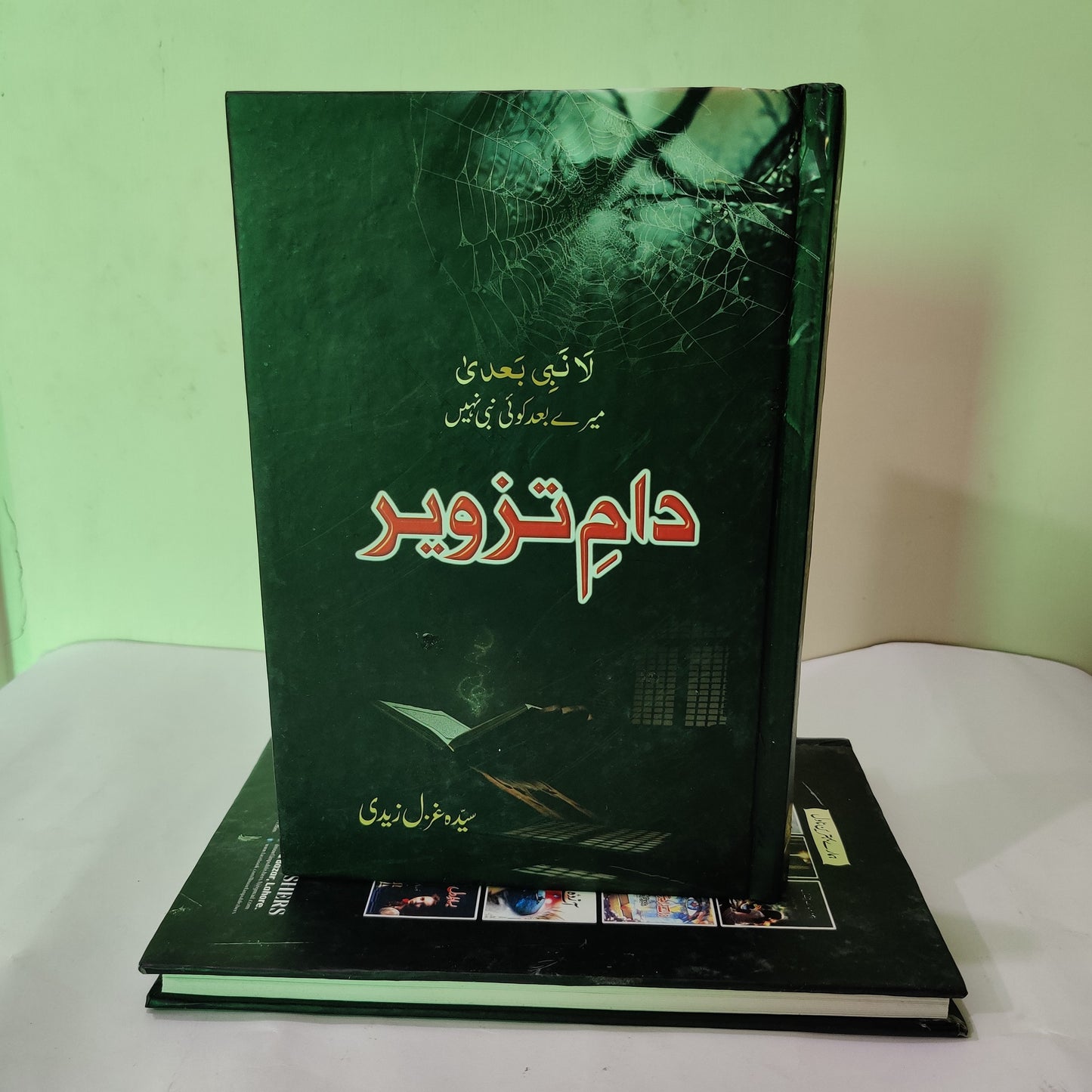 Dam e Tazveer Novel By Ghazal Zaidi available at HO store