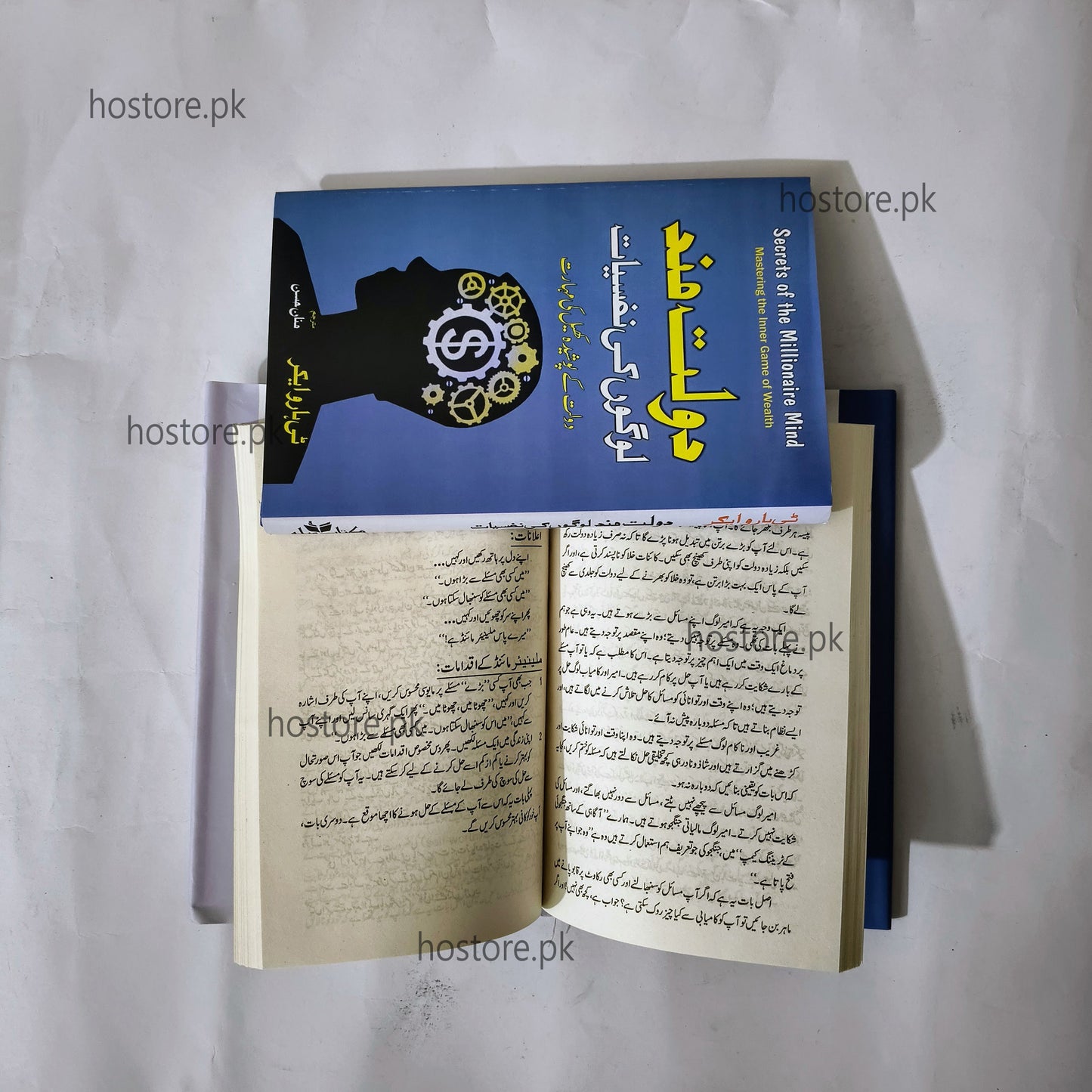 Dolat Mand Logon Ki Nafsiyat Book by T. Harv Eker available at HO store