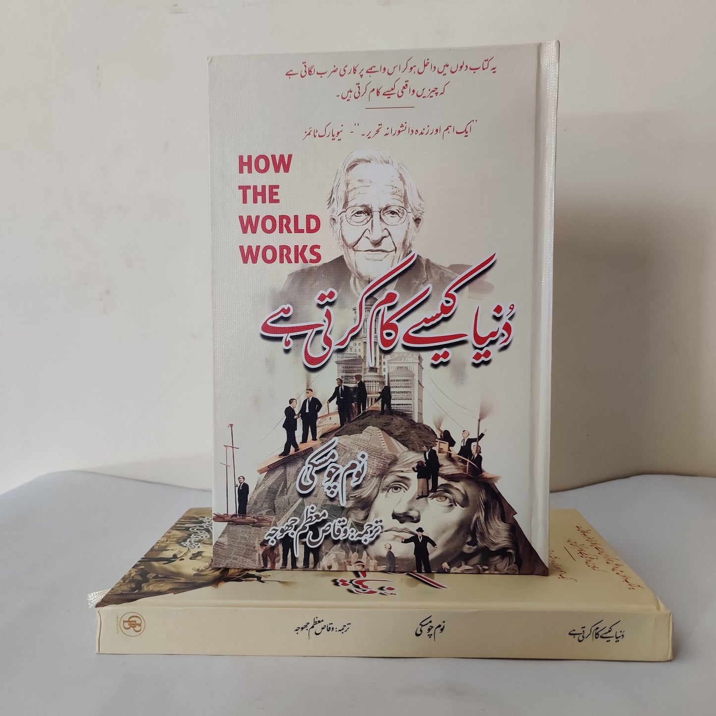 How the World Works Book by Noam Chomsky Urdu edition available at HO store