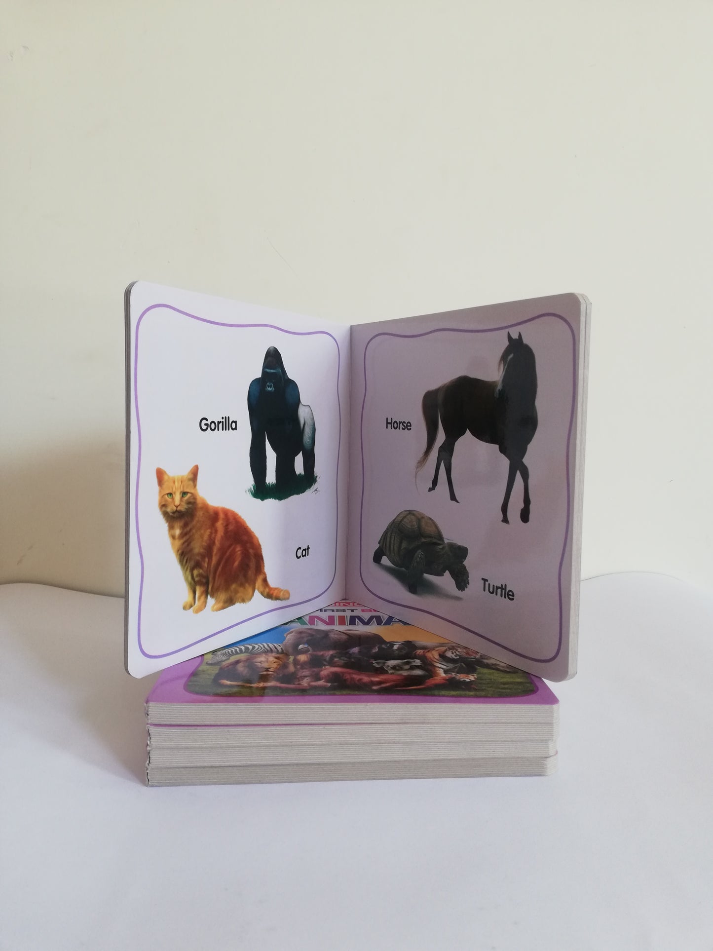 Large size Board Book of Animals for kids - Hard Bound - Premium Quality available at HO store , kids book , Kids learning