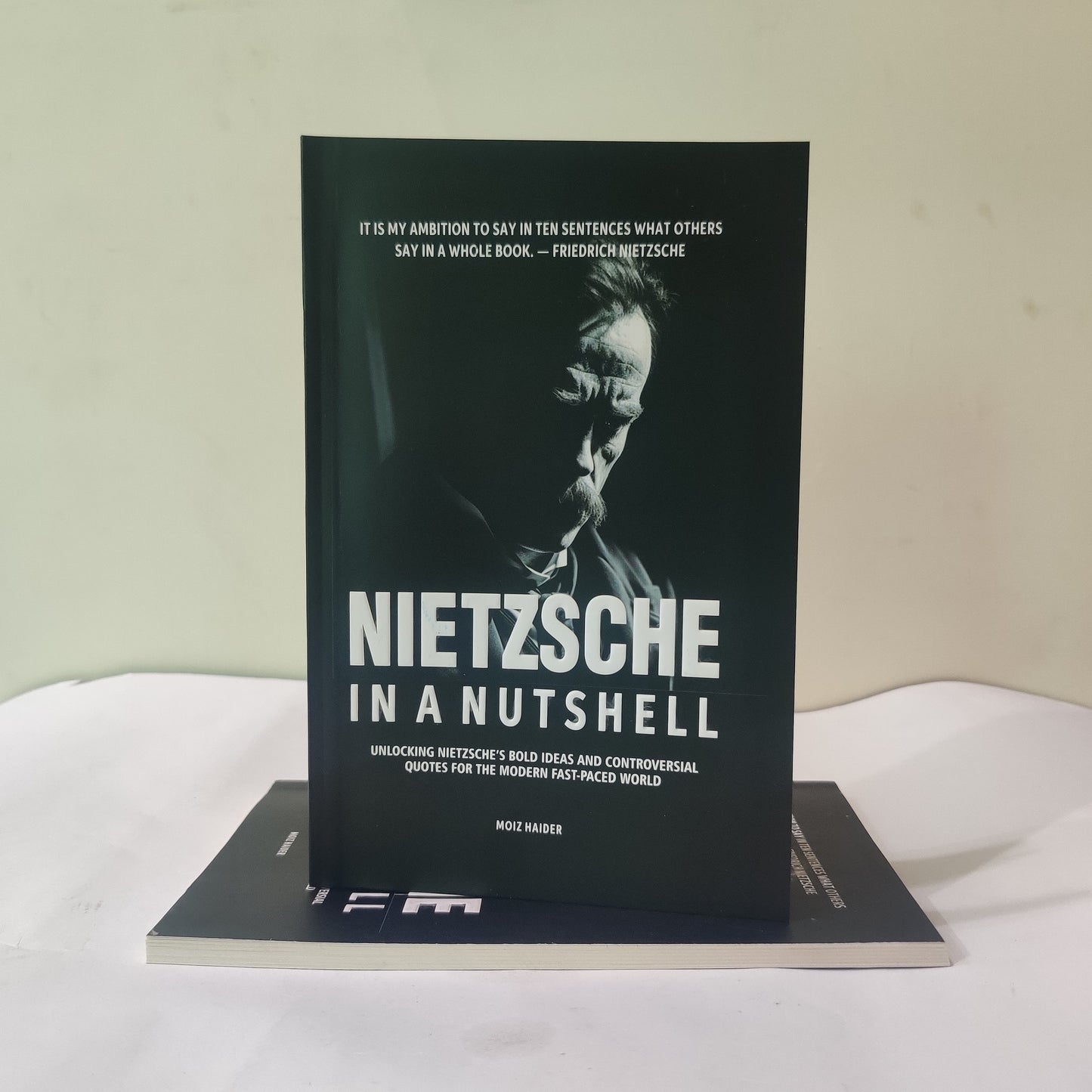 Nietzsche in a Nutshell English book available at HO store