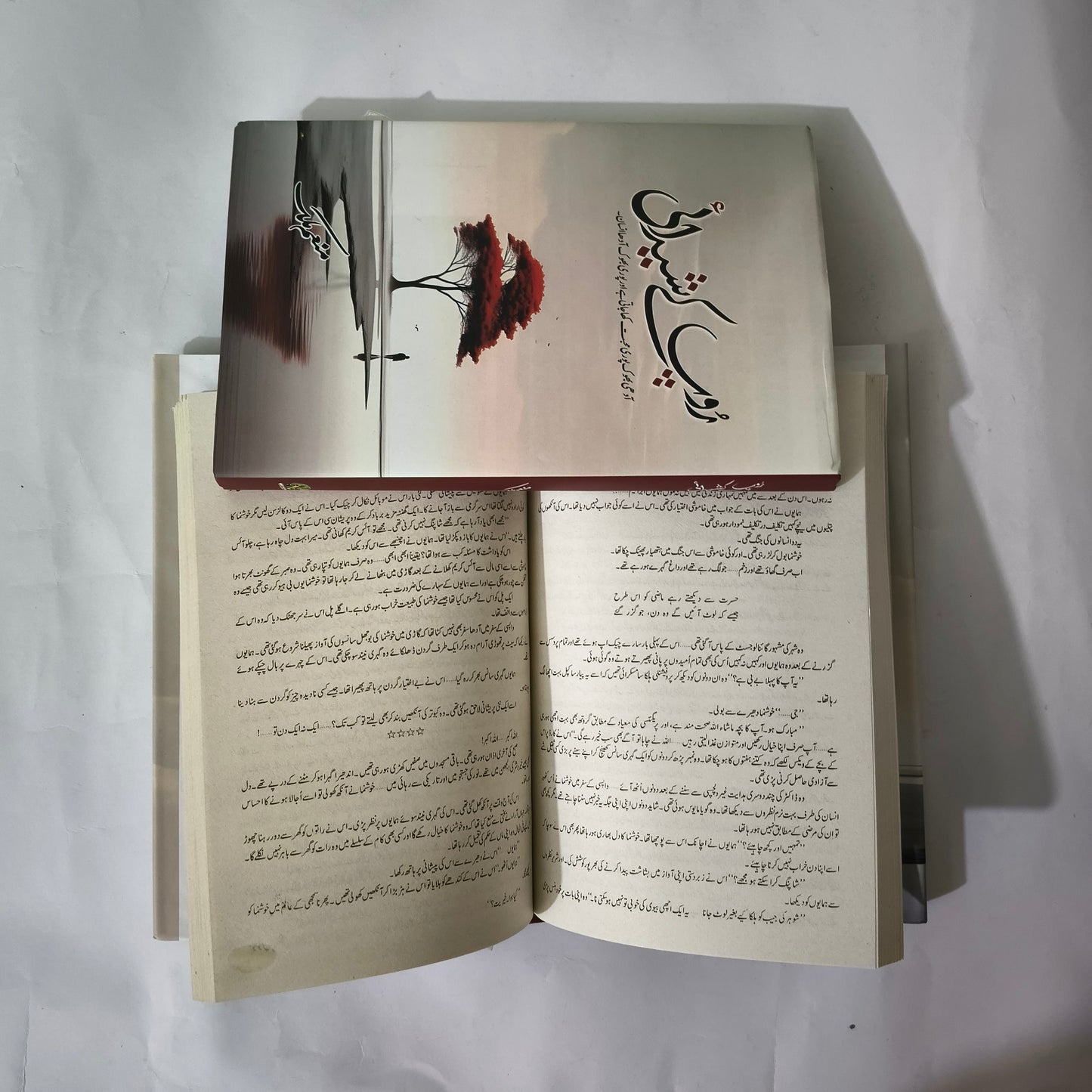 Roop Kay Shedai Urdu Novel by Munam Malik at HO store