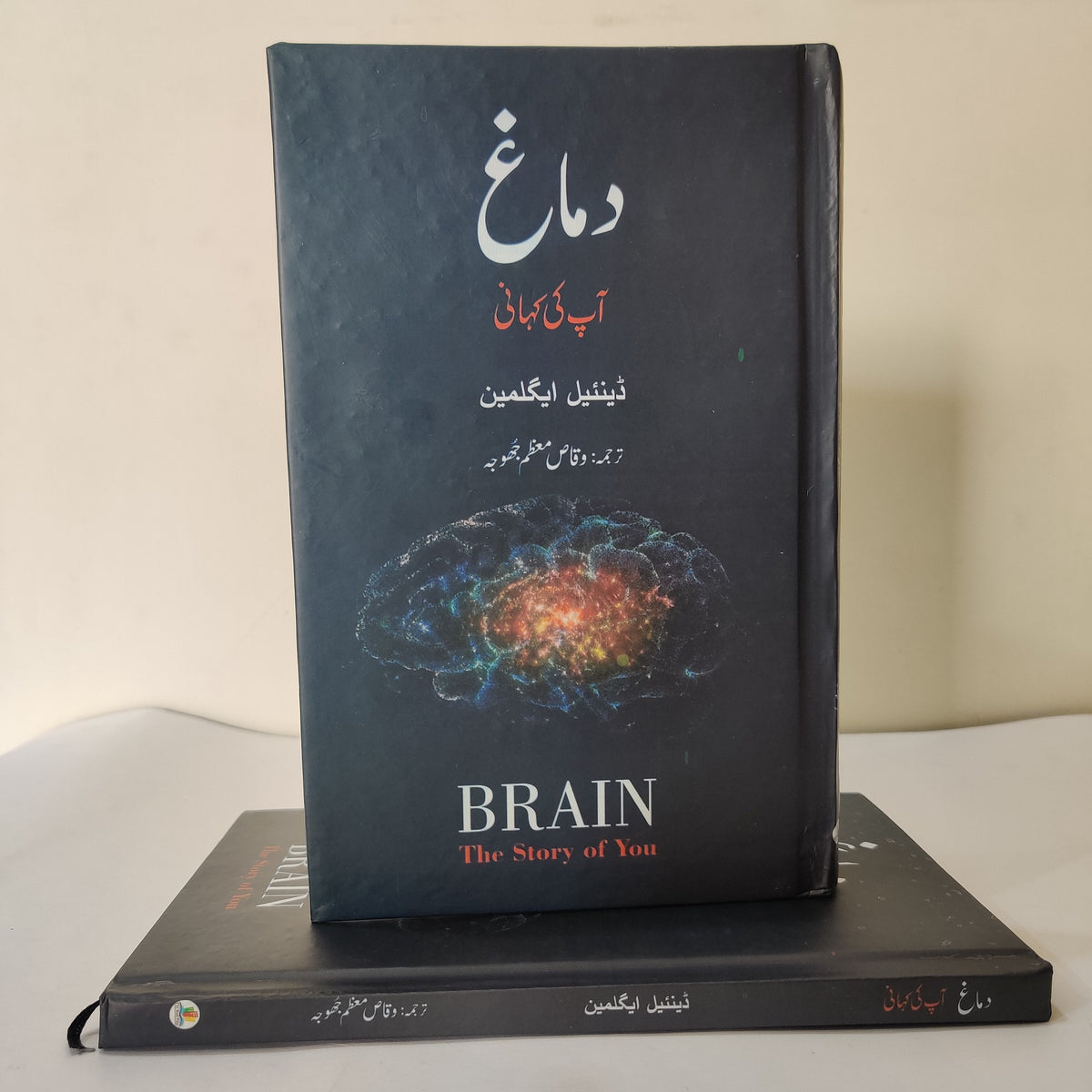 The Brain: The Story of You by David Eagleman, 2015 The Brain: The Story of You by David Eagleman, 2015
