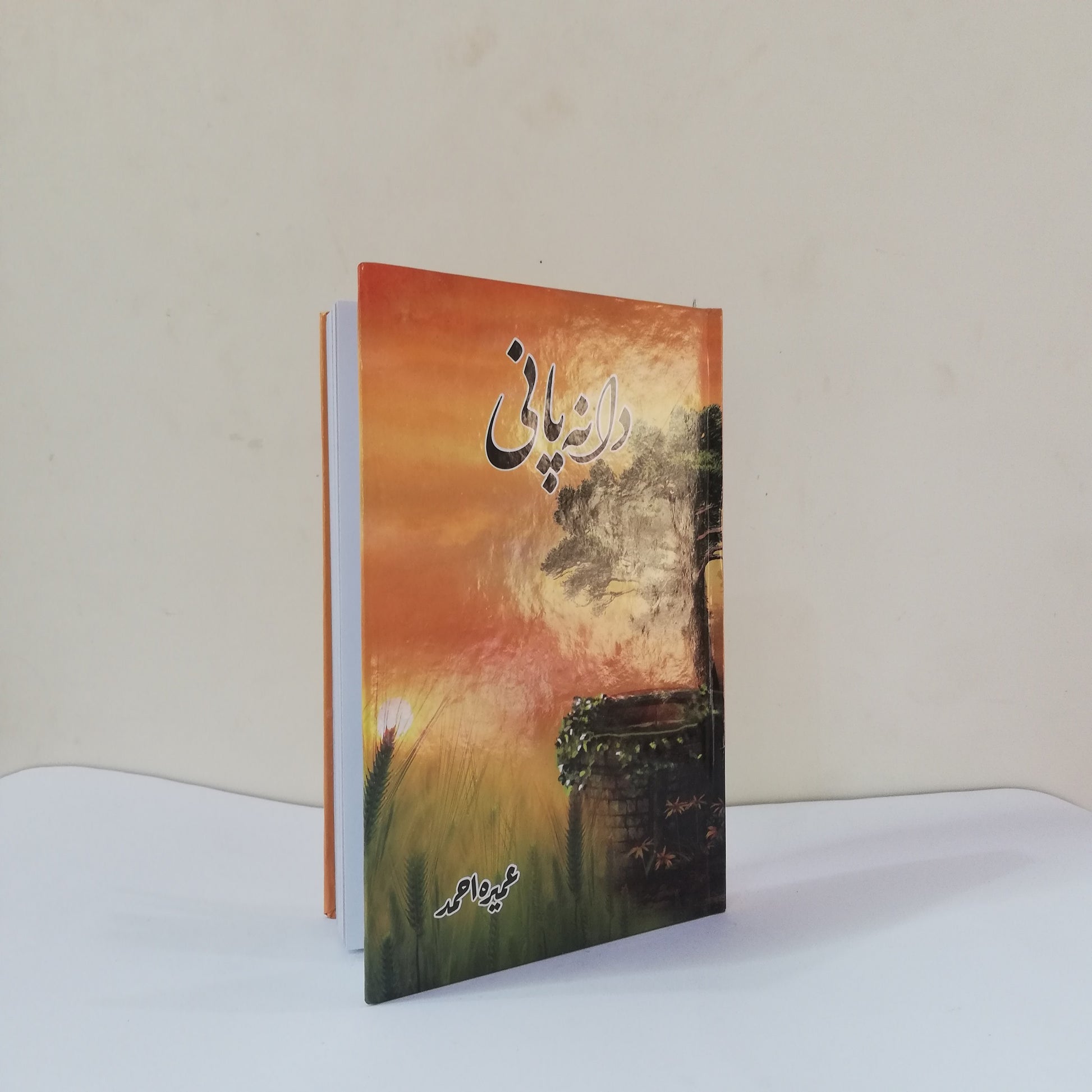 Daana Paani by Umera Ahmed, Umera Ahmed novels, Pakistani literature, Urdu novels, contemporary fiction, emotional storytelling, human relationships, social issues, HO Store, Urdu books.