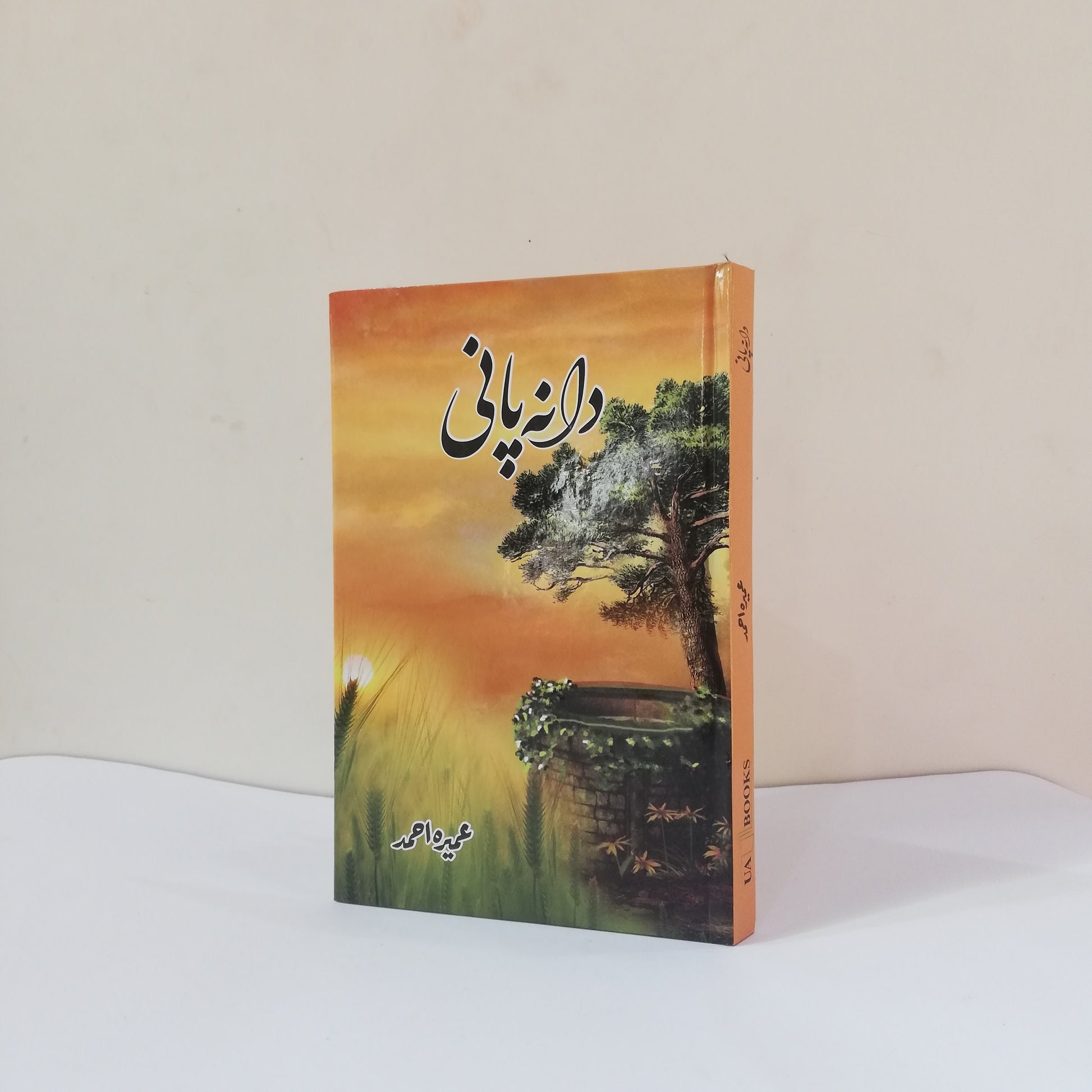 Daana Paani by Umera Ahmed, Umera Ahmed novels, Pakistani literature, Urdu novels, contemporary fiction, emotional storytelling, human relationships, social issues, HO Store, Urdu books.