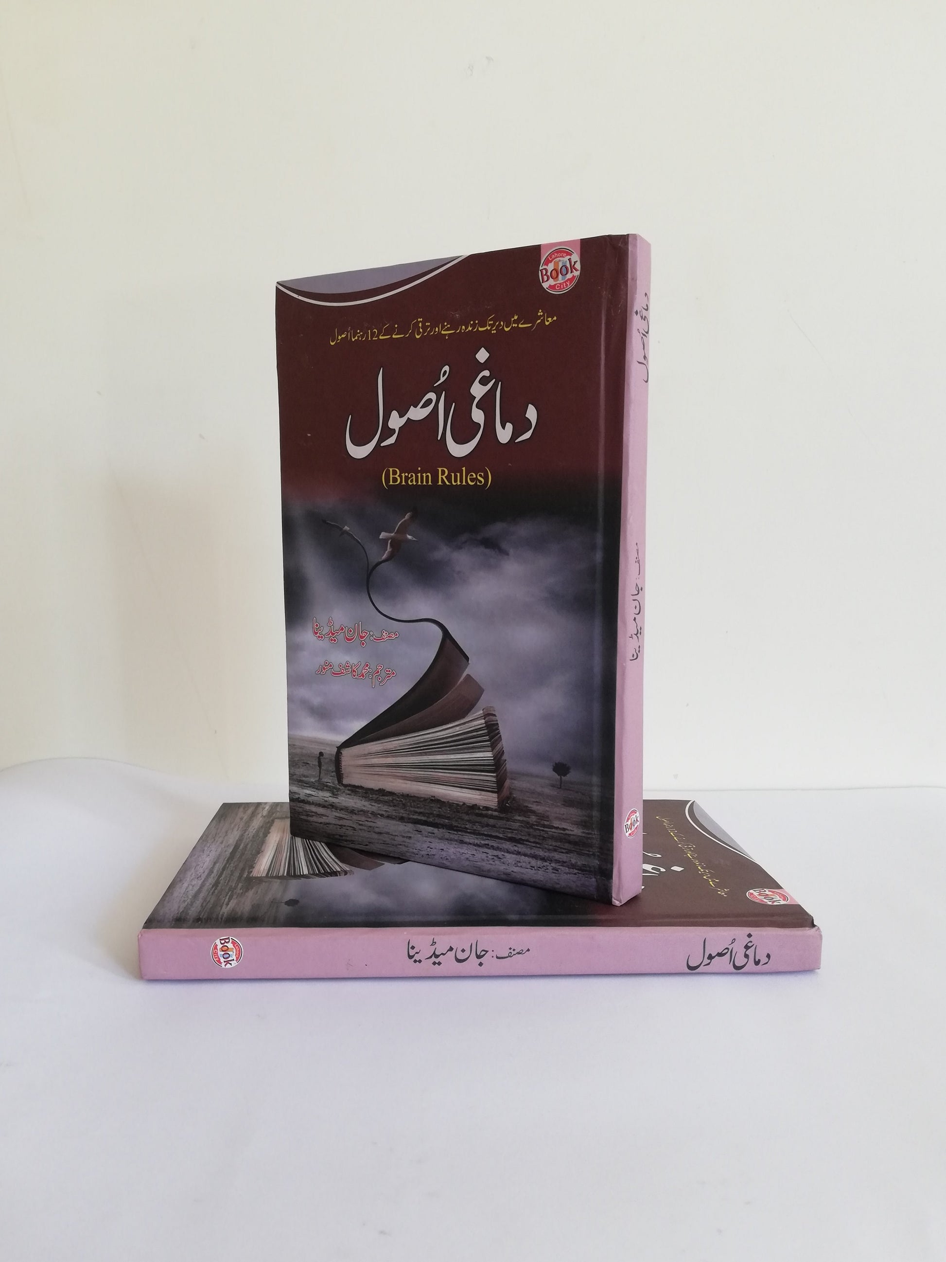 Damaghi Asool - Brain Rules Book By John Medina Urdu Edition Available at HO store