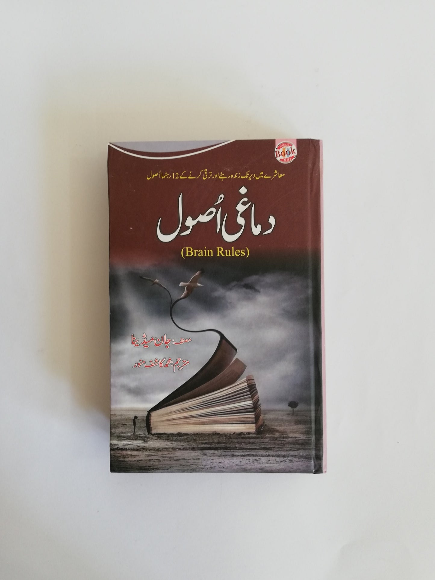 Damaghi Asool - Brain Rules Book By John Medina Urdu Edition Available at HO store