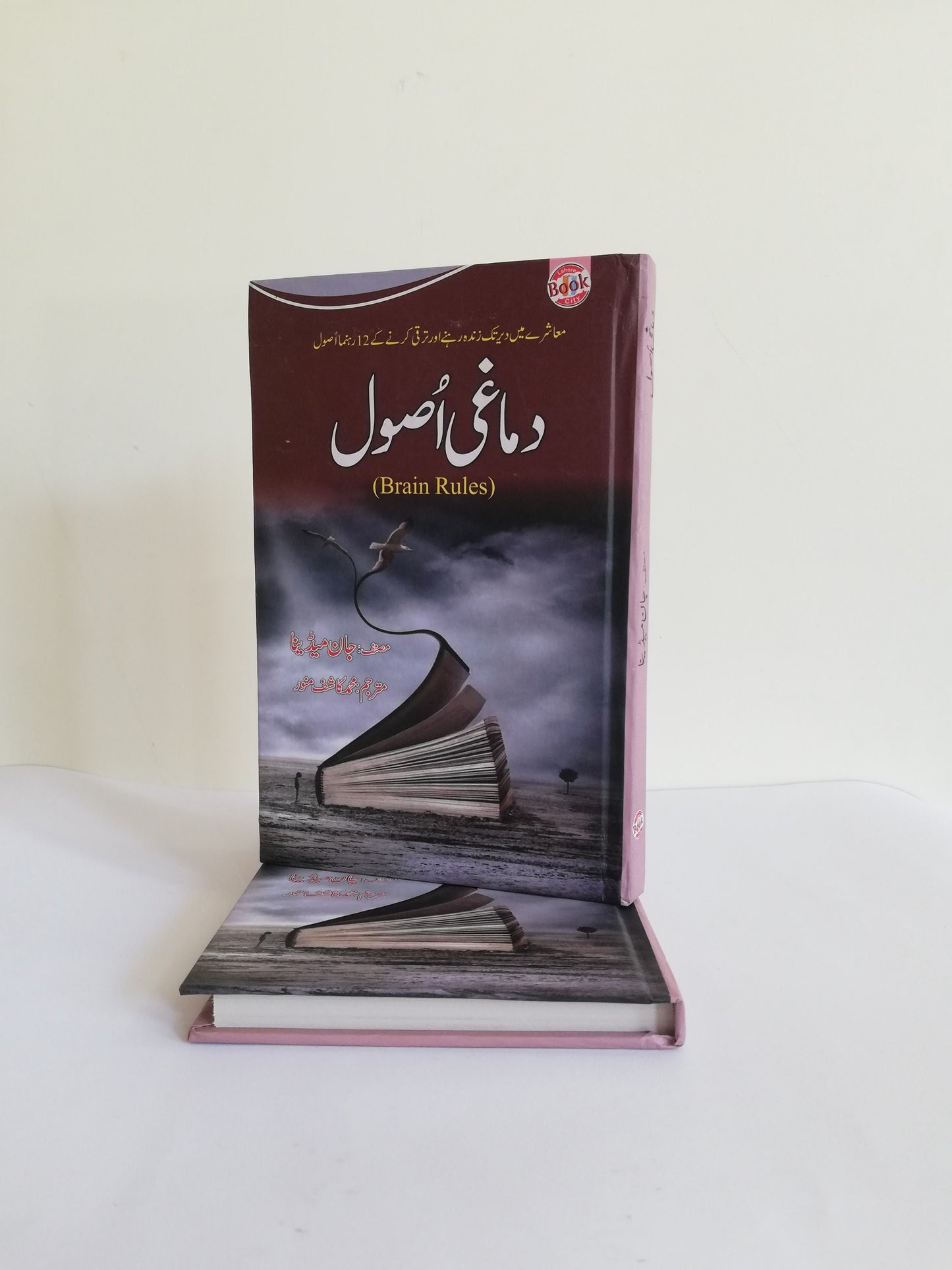 Damaghi Asool - Brain Rules Book By John Medina Urdu Edition Available at HO store