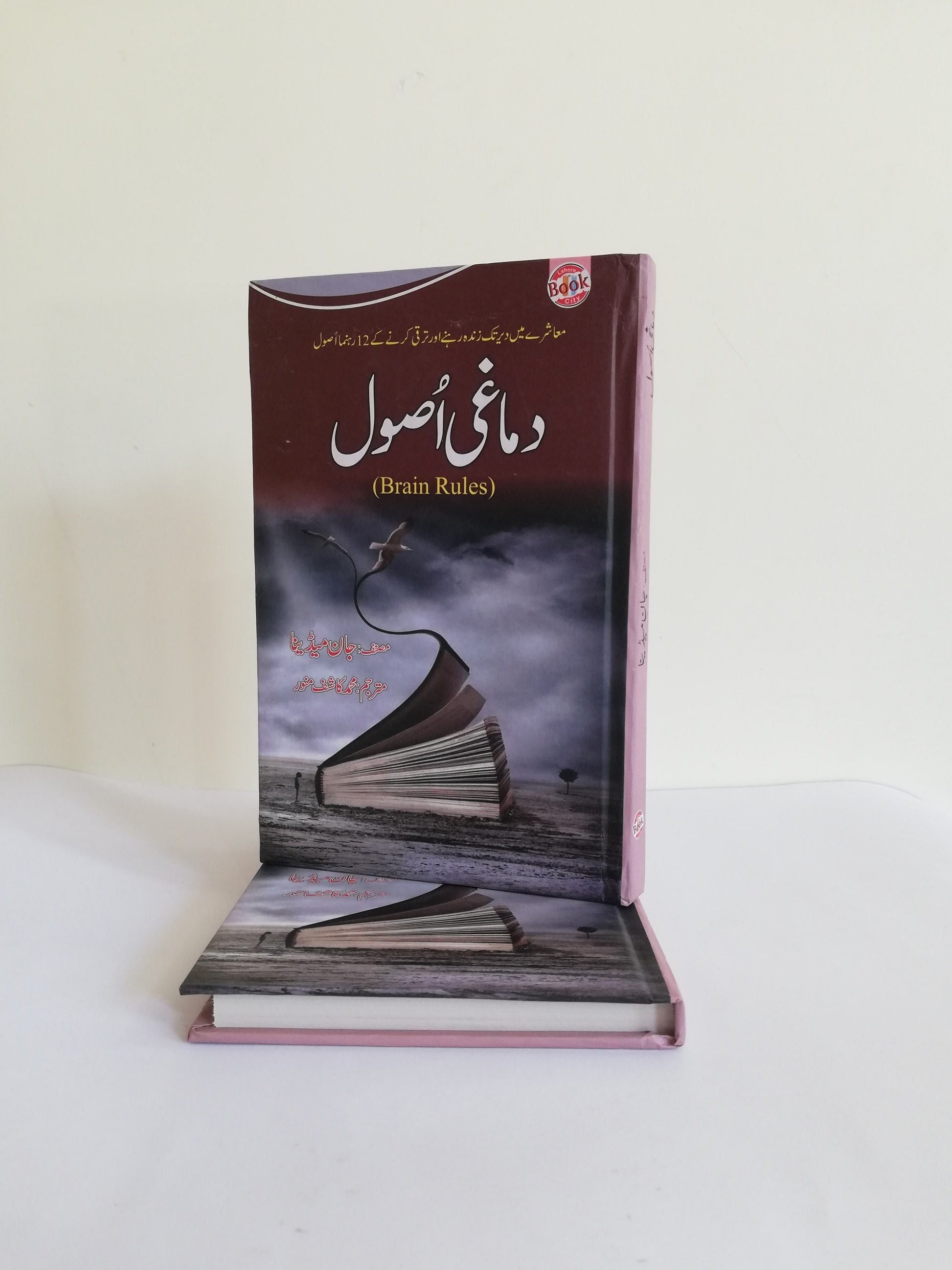 Damaghi Asool - Brain Rules Book By John Medina Urdu Edition Available at HO store