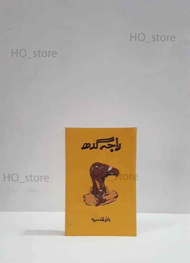 Raja Gidh, Bano Qudsia, Pakistani novel, Urdu literature, spiritual conflict, complex relationships, human desires, materialism, philosophical themes, emotional turmoil, search for meaning, passion, love and spirituality, vulture symbolism, character exploration, intense emotions, HO store.