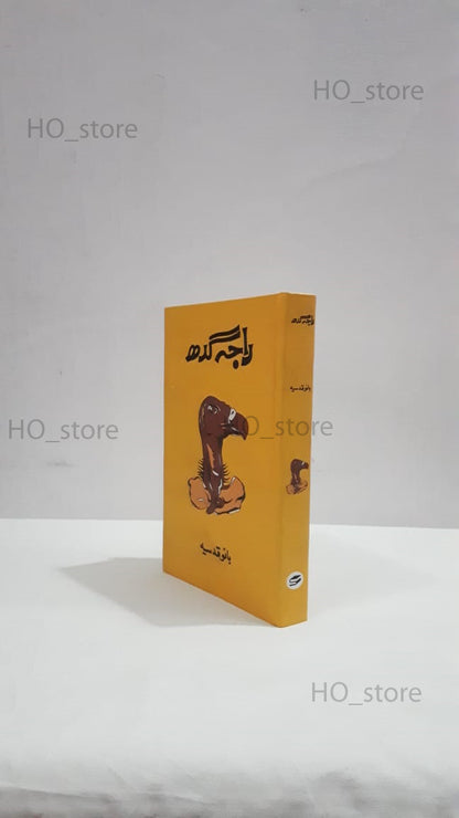 Raja Gidh, Bano Qudsia, Pakistani novel, Urdu literature, spiritual conflict, complex relationships, human desires, materialism, philosophical themes, emotional turmoil, search for meaning, passion, love and spirituality, vulture symbolism, character exploration, intense emotions, HO store.