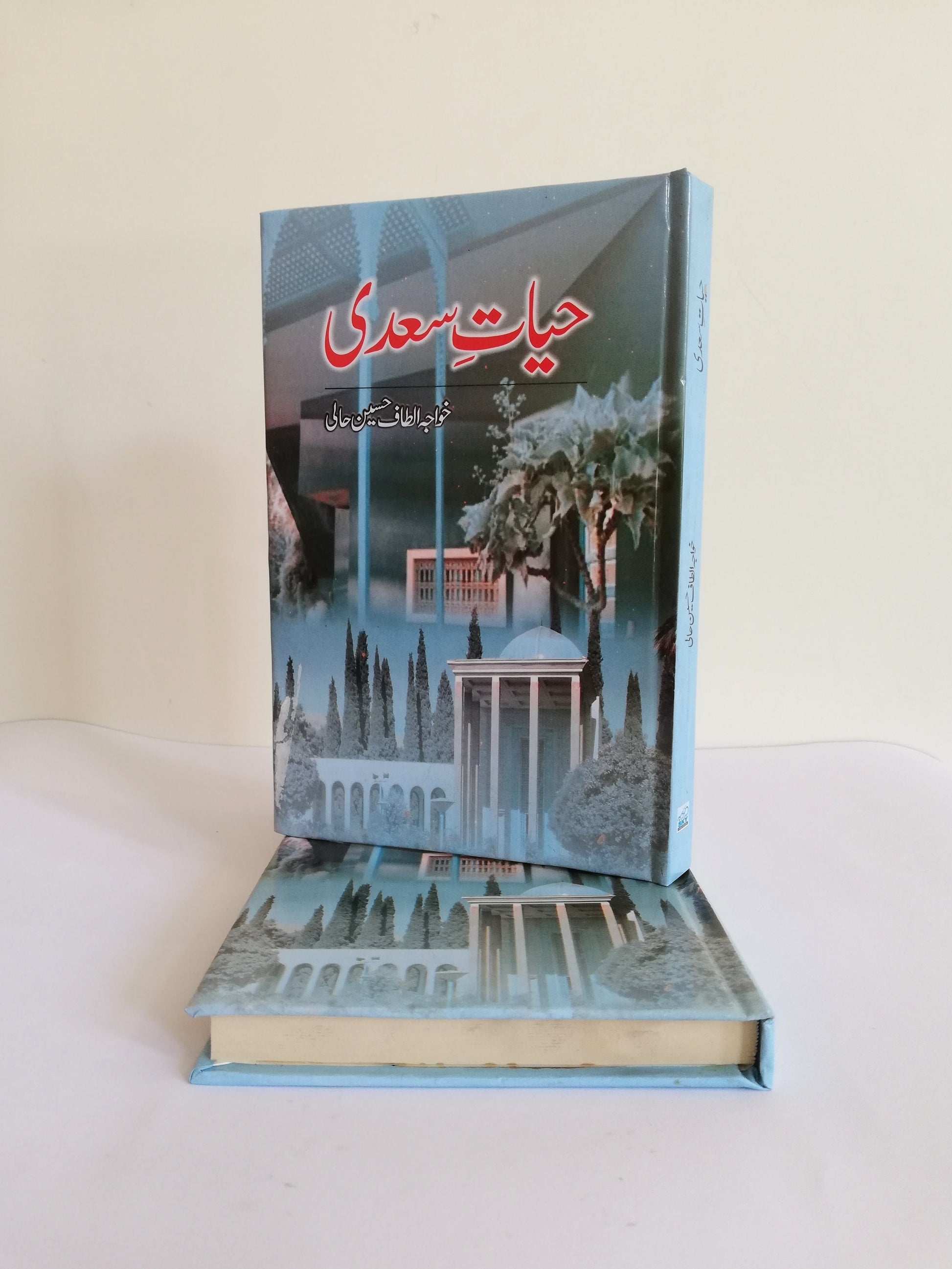 Hayat-e-Sadi A Book By Altaf Hussain Hali – HO store