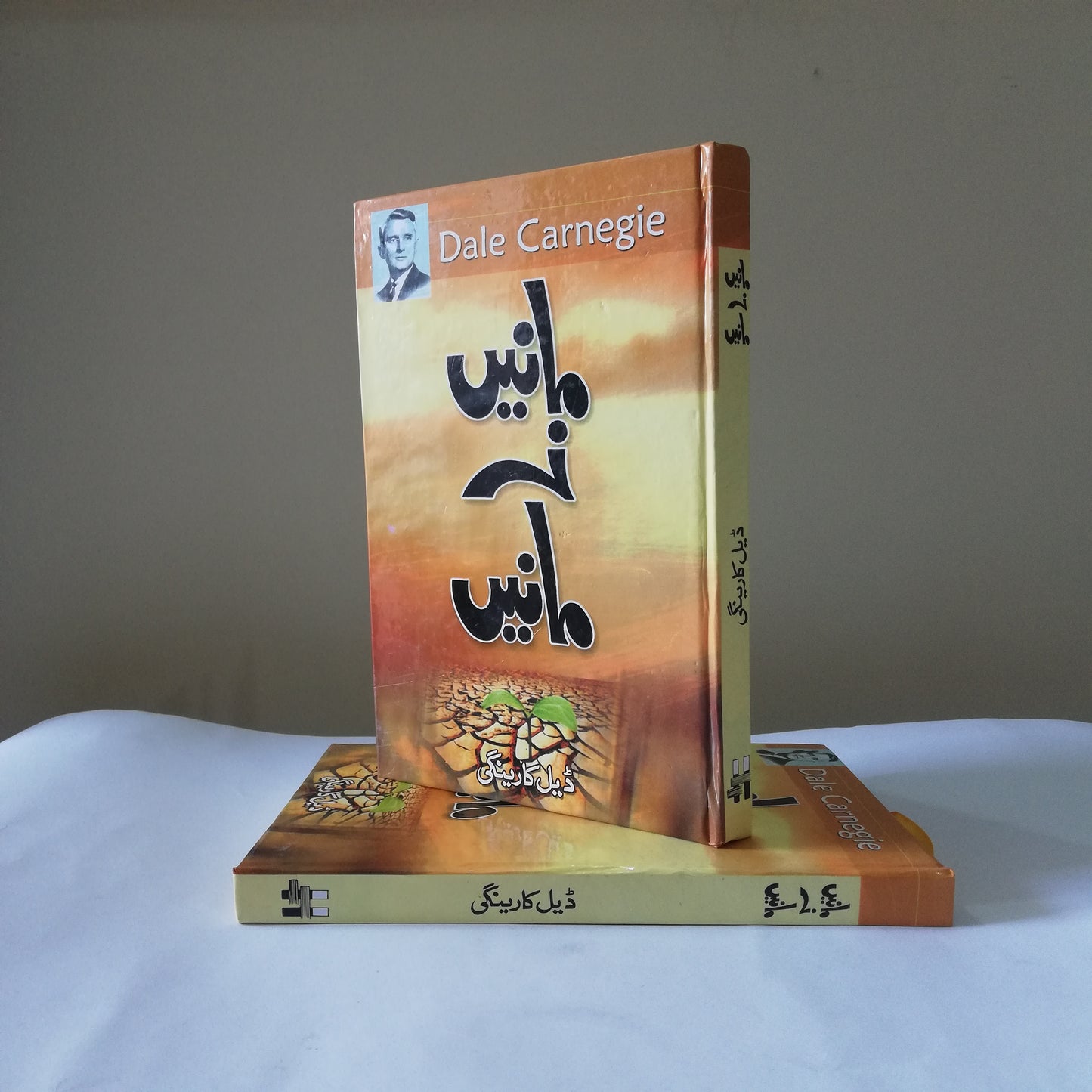 Manain Na Manain urdu book by Dale Carnegie available at HO store