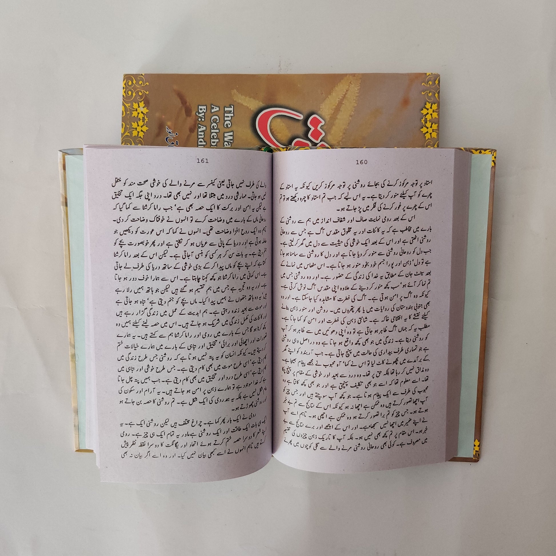 Maulana Rumi Ka Nazaria Ishq Book available at HO store