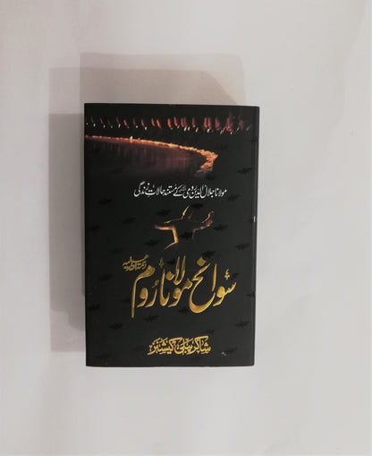 Sawaneh Maulana Rumi Urdu Edition