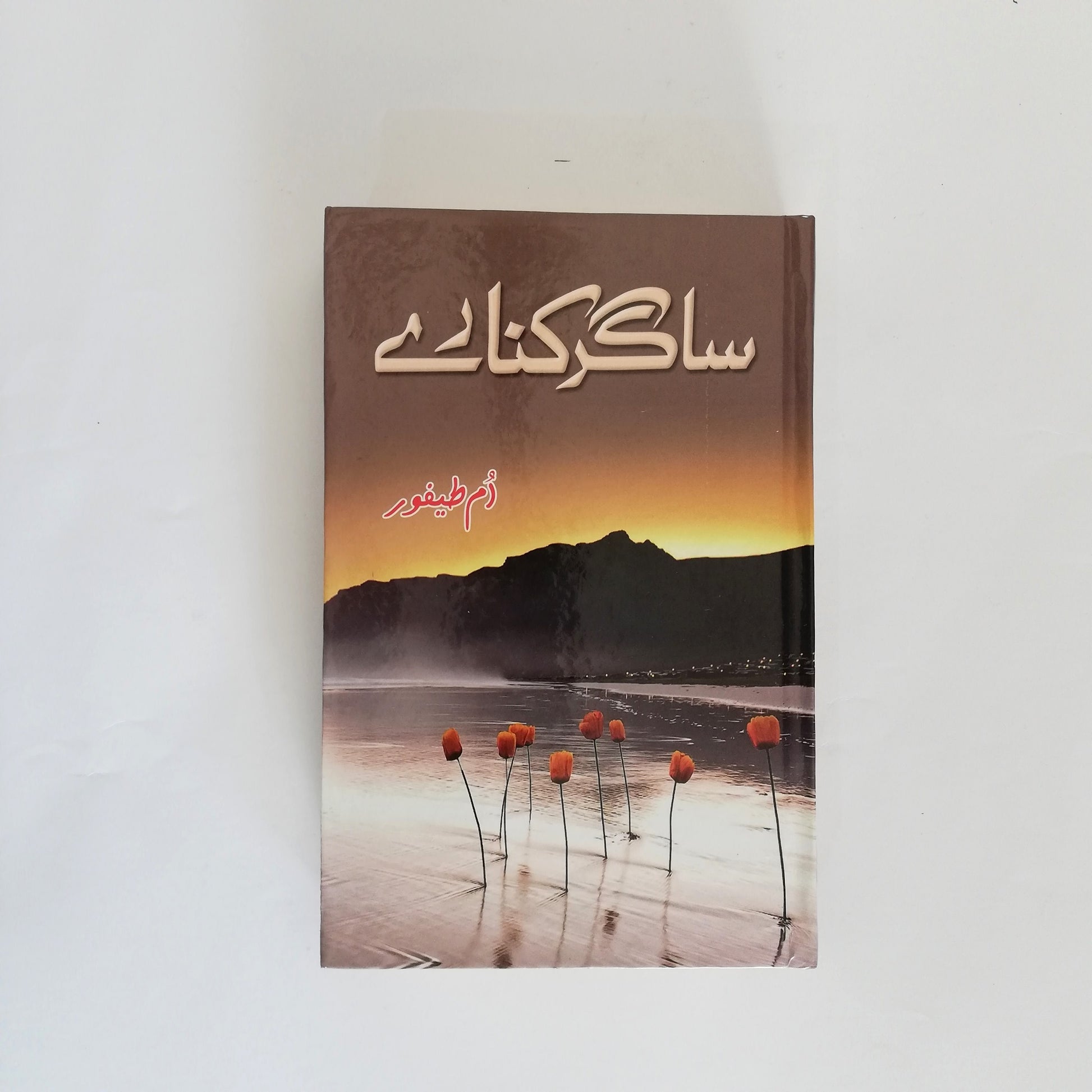 Sagar Kinare Novel By Umme Taifoor Latest Edition Complete available at HO store