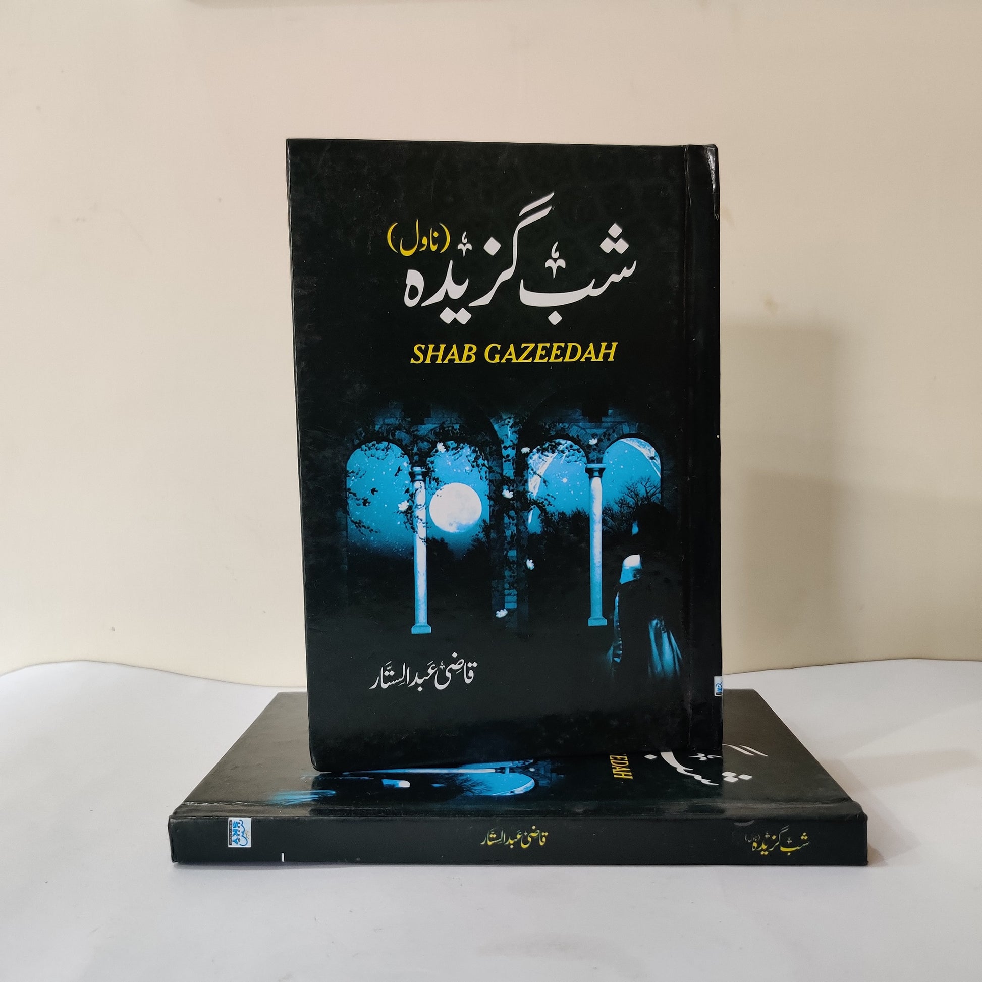 Shab Gazeedah A Story By Qazi Abdus Sattar available at HO store 